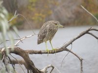 IMG_4804.JPG
