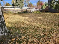 1000004070.jpg 1000004070.jpg