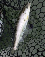 IMG_4469.jpeg