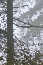 20251108_094543.jpg 20251108_094543.jpg