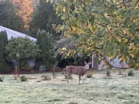IMG_3017.jpeg
