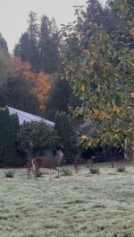 IMG_3020.jpeg