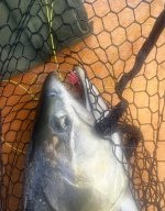 IMG_1864.jpeg