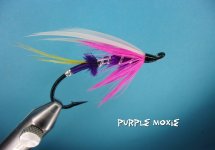 Purple Moxie .jpg