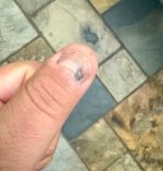 IMG_1866.jpeg