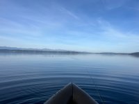 IMG_6441.jpeg