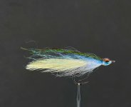 IMG_5073.jpeg