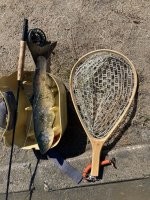 IMG_3985.jpeg