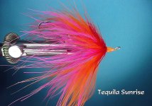 Tequila Sunrise Intruder.jpg Tequila Sunrise Intruder.jpg