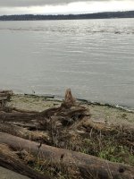 IMG_4480.jpeg