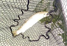 IMG_1904.jpeg