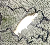 IMG_1902.jpeg