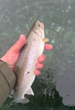 IMG_1899.jpeg