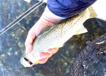 IMG_1896.jpeg