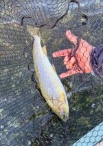 IMG_1893.jpeg