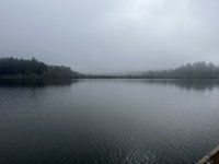 Nov25foggy.jpg