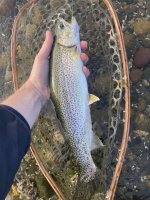 IMG_2016.jpeg IMG_2016.jpeg