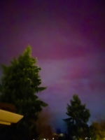 1762953092168.png 1762953092168.png