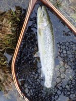 IMG_4508.jpeg