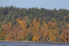 A00AFallColors6146.jpg