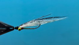 IMG_6555.jpeg
