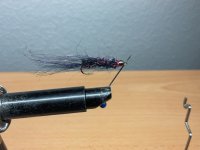 IMG_0197.jpeg