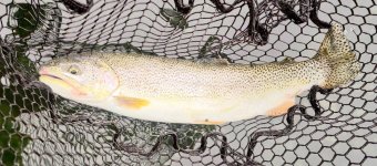 IMG_1947.jpeg IMG_1947.jpeg