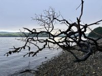 IMG_8834.jpeg