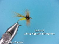 Catau's Little Yellow Stone Fly.jpg