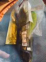 IMG_8471.jpeg