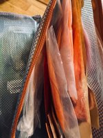 IMG_8472.jpeg
