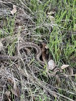 IMG_3757.jpeg