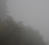 IMG_4585.jpeg