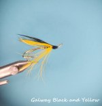 Galway Black and Yellow.jpg
