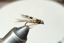 PXL_20251117_202750016.jpg