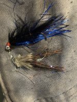IMG_2280.jpeg IMG_2280.jpeg