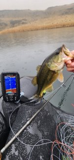 20251113_105016.jpg 20251113_105016.jpg
