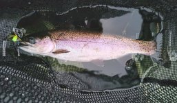 20251118_163546.jpg