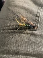 IMG_5308.jpeg