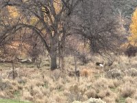 IMG_3056.jpeg IMG_3056.jpeg