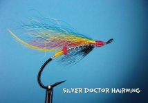 Silver Doctor Hairwing.jpg Silver Doctor Hairwing.jpg