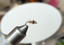 PXL_20251120_231734541.jpg