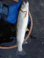 IMG_4673.jpeg