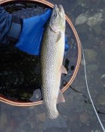 IMG_4680.jpeg