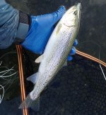 IMG_4681.jpeg