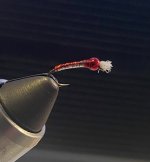 IMG_3897.jpeg