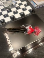 IMG_7350.jpeg