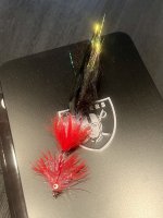 IMG_7351.jpeg