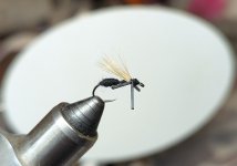 PXL_20251121_235433141.jpg