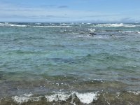 IMG_3040.jpeg